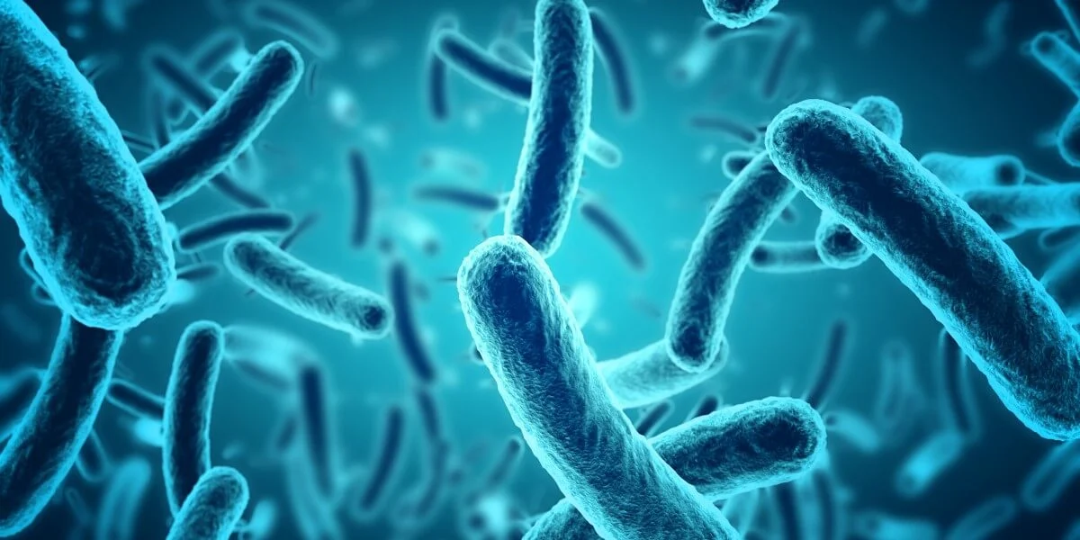 Nega Mikrobiologiya O‘qish Muhim?